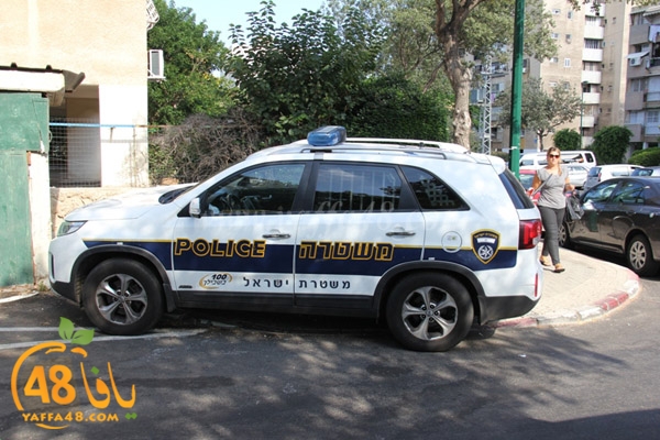 fall from above (6).JPG